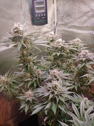 Growreport Bild 22