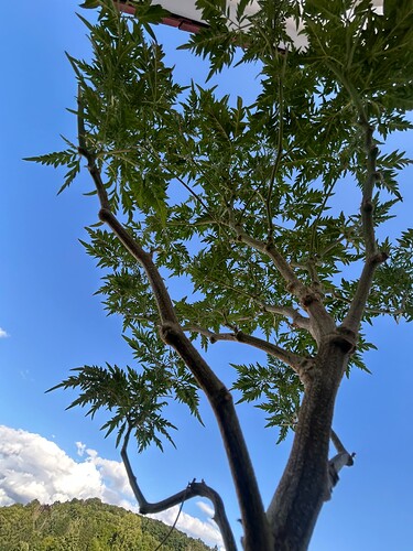 Growreport Bild 10