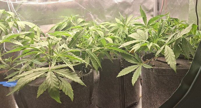 Growreport Bild 11