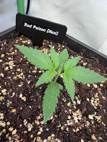 Growreport Bild 28