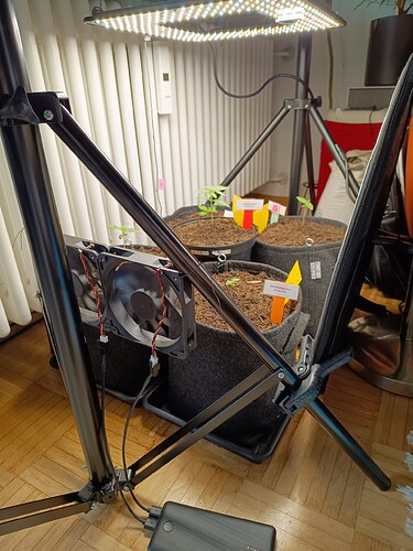 IMG_20240502_180543253