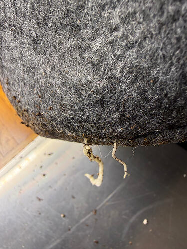 Growreport Bild 5