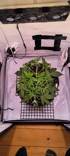 Growreport Bild 12
