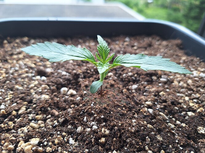 Growreport Bild 21