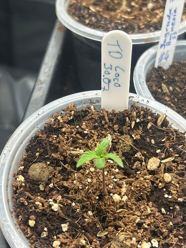 Growreport Bild 40