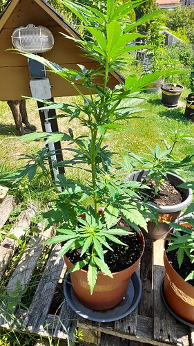 Growreport Bild 24