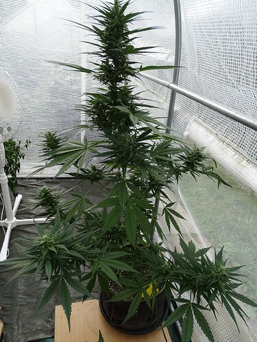 Growreport Bild 10
