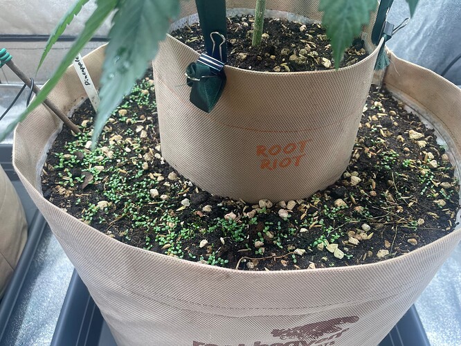 Growreport Bild 16