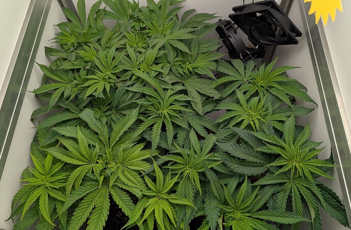 Growreport Bild 16