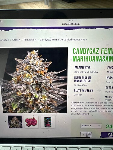 Growreport Bild 27