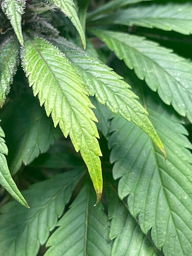 Growreport Bild 21