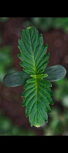 Growreport Bild 14
