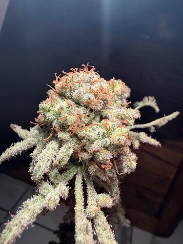 Threema_2026-03-28_10-00-40