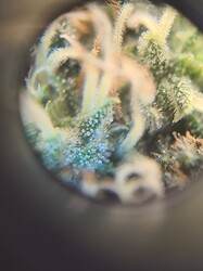 Growreport Bild 10