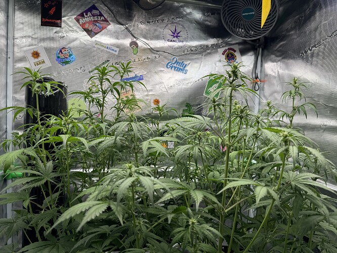 Growreport Bild 9