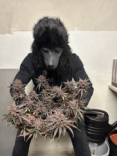 Growreport Bild 25