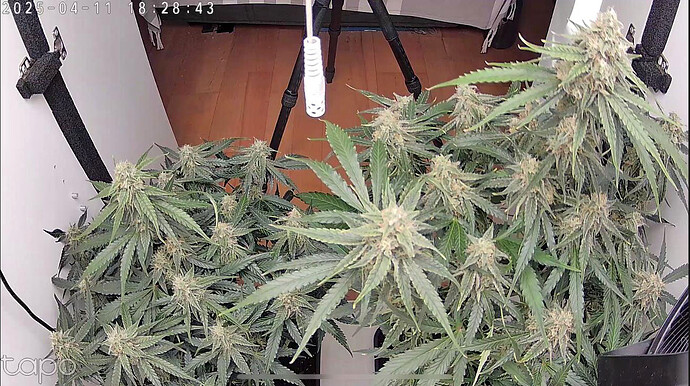 Growreport Bild 4