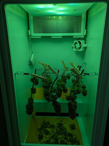 Growreport Bild 5