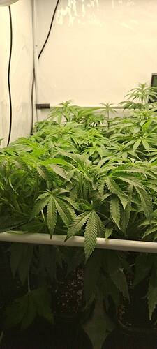 594230478_122216189210293599_8774926964793490735_n