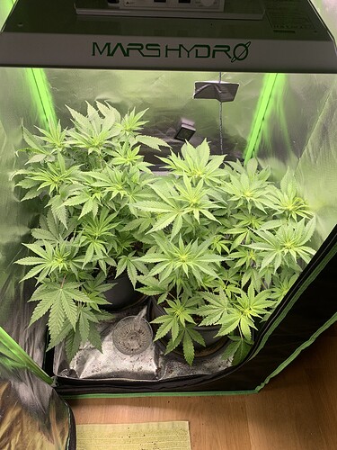 Growreport Bild 4