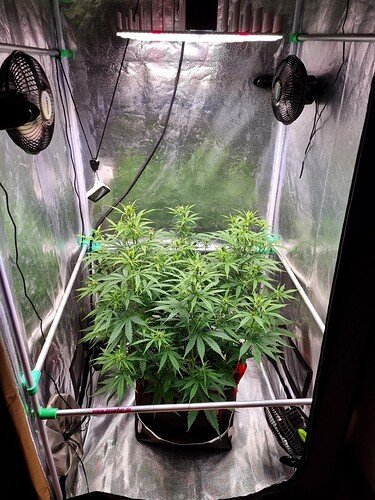 Growreport Bild 4