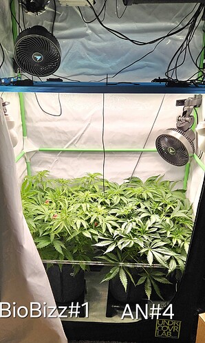 Growreport Bild 10