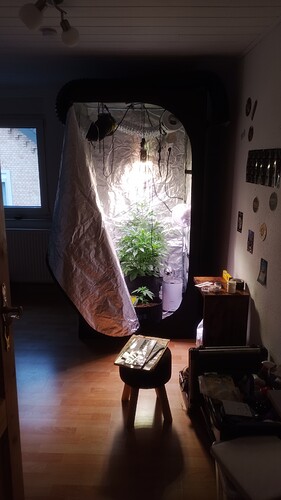 IMG_20240421_132856_467