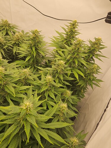 Growreport Bild 18