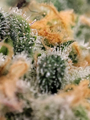 Growreport Bild 22