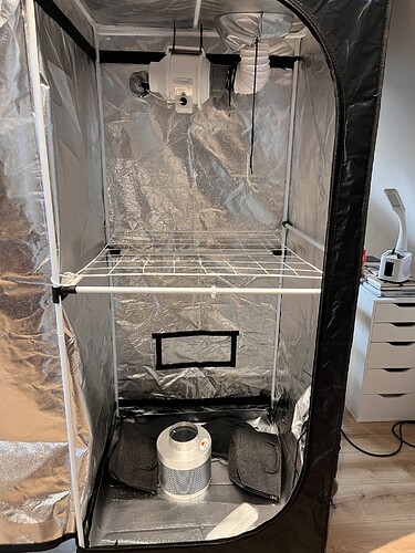 Growreport Bild 4