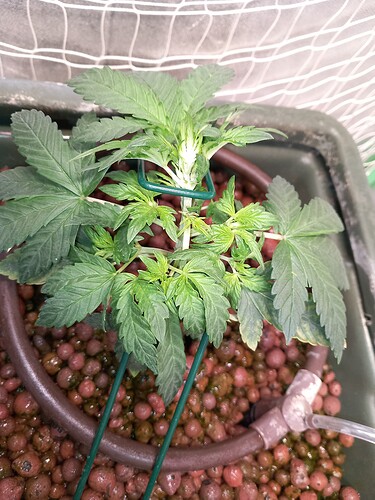 Growreport Bild 9
