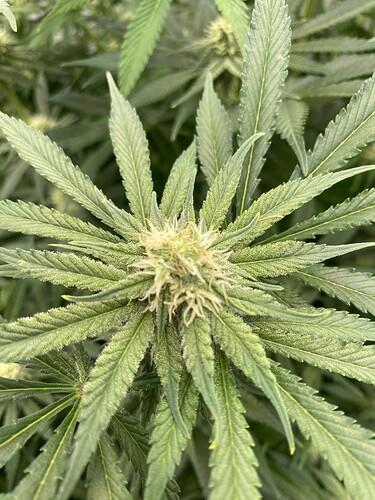 Growreport Bild 3