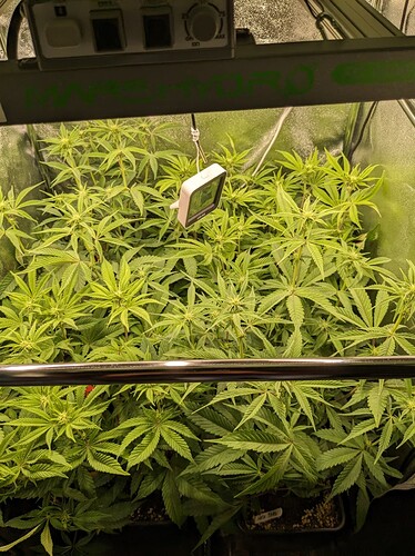 PXL_20240531_151348104