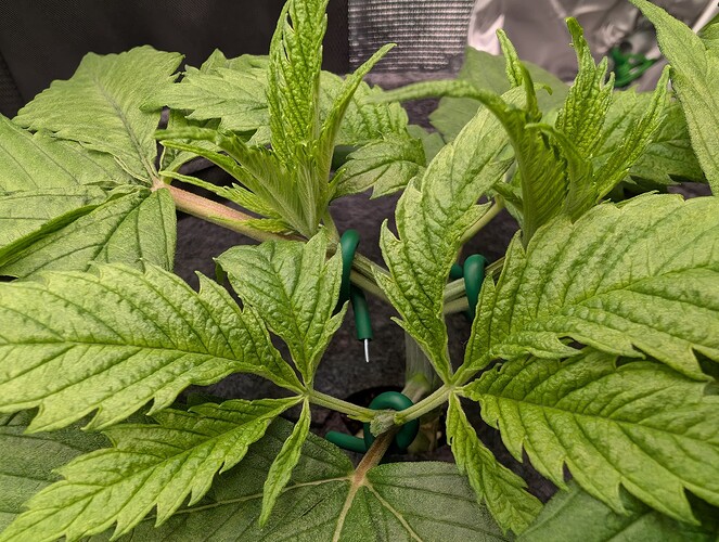 Growreport Bild 11