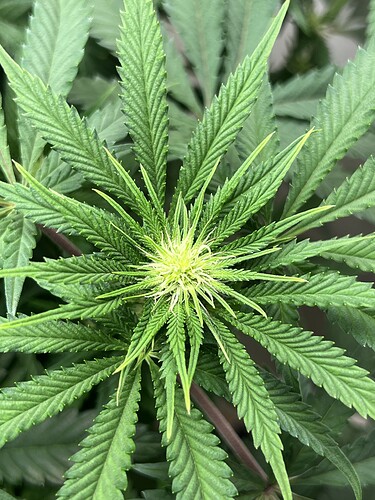 Growreport Bild 10