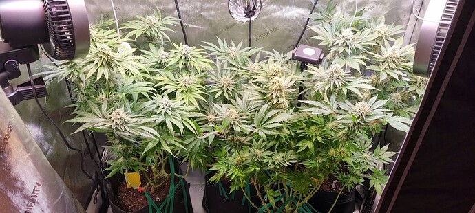 Growreport Bild 5
