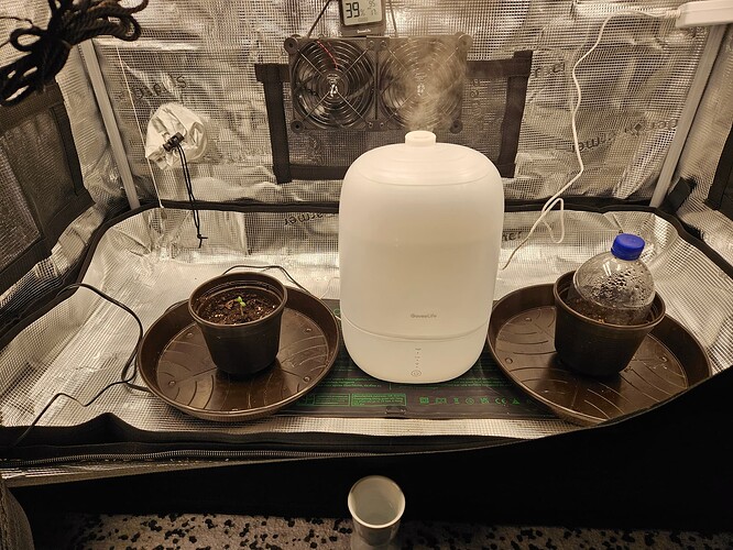 Growreport Bild 1