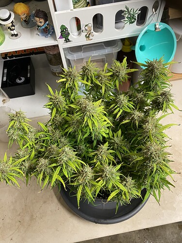 Growreport Bild 23