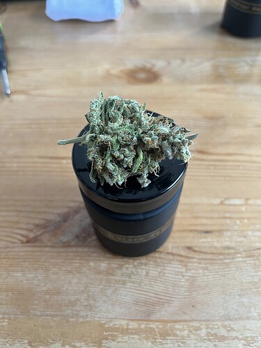 Growreport Bild 6
