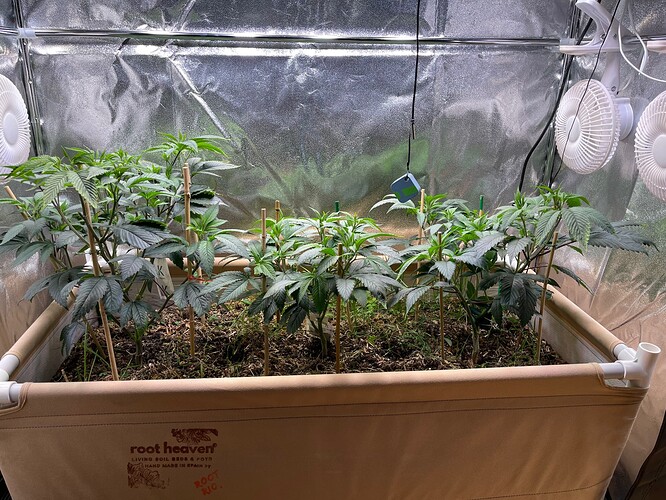 Growreport Bild 1