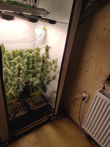 Growreport Bild 5
