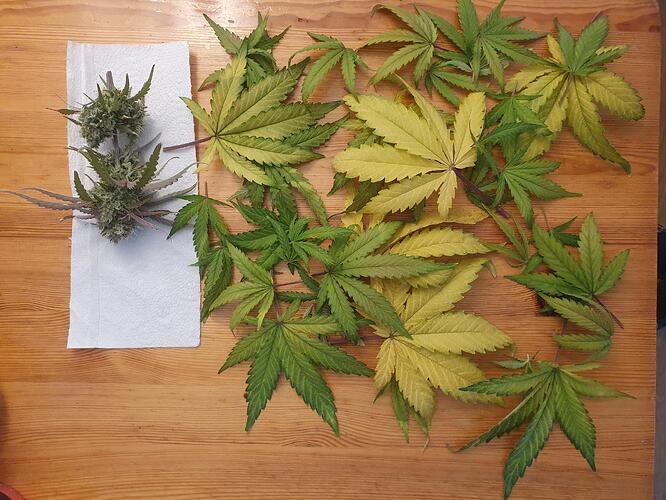 72 Tage_2025-07-07-125301_002