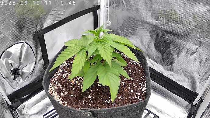 DC62798BA14B_20250919111947845