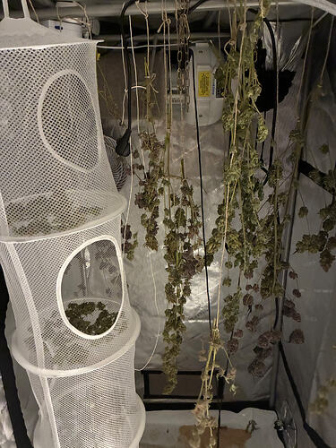 Growreport Bild 1