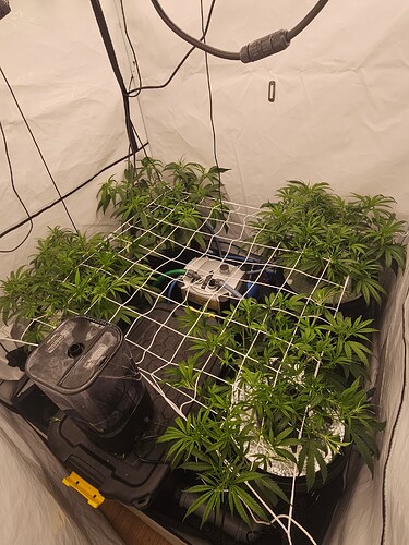 Growreport Bild 3