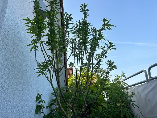 Growreport Bild 13