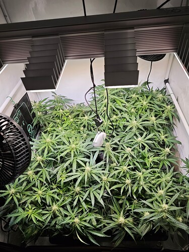 MVIMG_20251026_194231