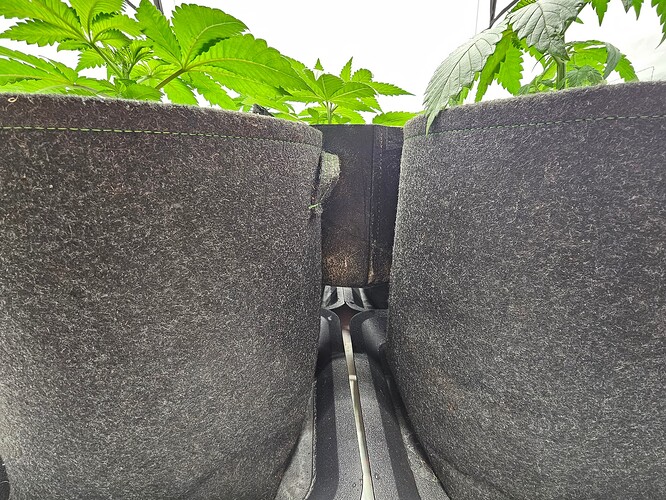 Growreport Bild 4