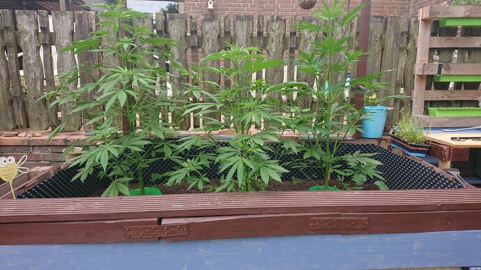 Growreport Bild 15
