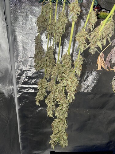 Growreport Bild 56